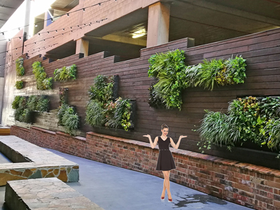 Artificial Green Walls in Shopping Mall